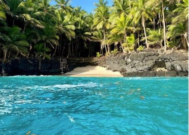 MN2J Presents São Tomé and Príncipe at Event in Cameroon: A Positive Step Forward in Tourism Marketing